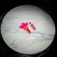 N.16 - ROSA NEON - Foto 4