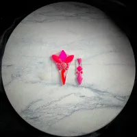 N.16 - ROSA NEON - Foto 3
