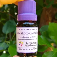 Óleo Essencial de EUCALIPTO GLÓBULOS