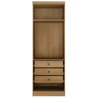 Guarda Roupa Rizon Módulo 2 Portas 3 Gavetas Novo Horizonte - Foto 3