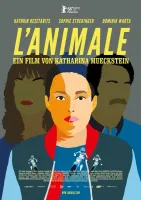 Desejo, Paixão e Razão (2018) Katharina Mückstein DVD - legendas em português