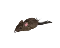 RATINHO TURBO - TURBO ISCAS