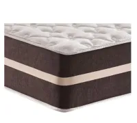 Colchão queen 1,58 Bioclassic  molas ensacadas 22 cm Bioflex - Foto 2