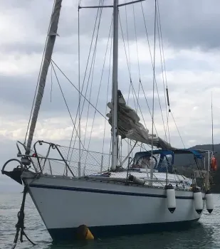 MAIN 35 PÉS – ANO  1987