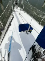 MAIN 35 PÉS – ANO  1987 - Foto 10