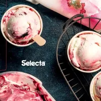 Base Para Sorvete Textura Selecta Cream Livre Trans 20kg - Foto 5
