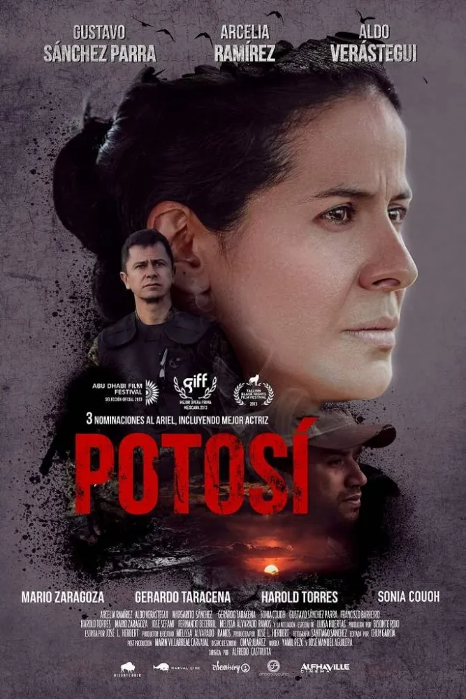 Potosí (2013) Alfredo Castruita DVD - legendas em português