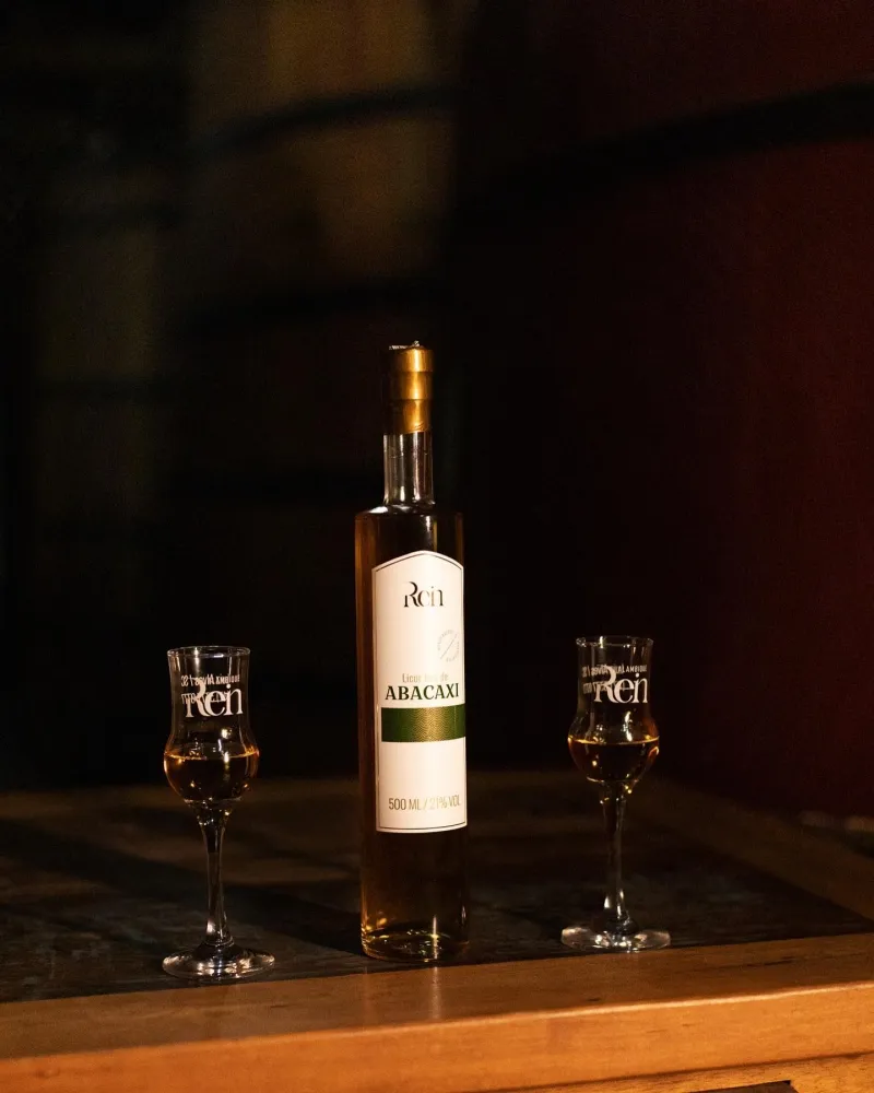 Licor Fino de Abacaxi Rein 500ml