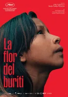 A Flor do Buriti (2023) Renée Nader Messora, João Salaviza DVD - legendas em português
