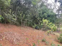 Vende-se linda propriedade,conhecida como :SÍTIO PÉ DA MATA. - Foto 26