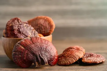 Cogumelo Reishi (Ganoderma lucidum) desidratado embalado à vácuo - 10 ou 100 gramas