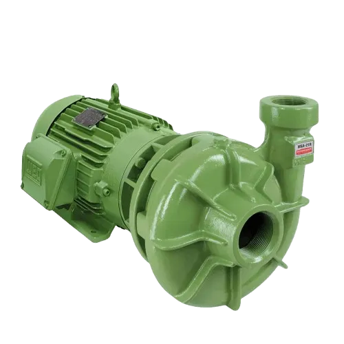 Bomba Centrifuga Schneider BC 21 R Saida Roscada 1" x 1/4" 1,5Cv 127/220v Monofasico