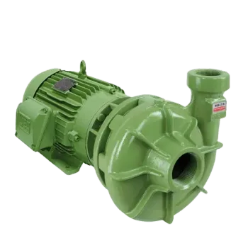 Bomba Centrifuga Schneider BC 21 R Saida Roscada 1" x 1/4" 1,5Cv 127/220v Monofasico