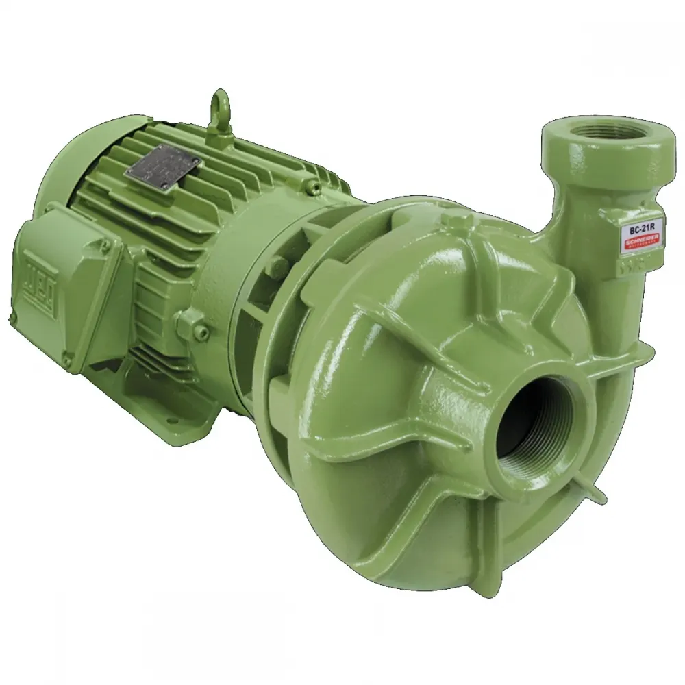 Bomba Centrífuga Monoestágio Schneider BC-21 R 1 1/2 (*) 2 CV Trifásica 220V/380V/440V/760V