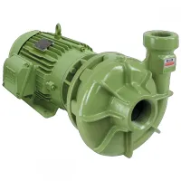 Bomba Centrífuga Monoestágio Schneider BC-21 R 1 1/2 (*) 2 CV Trifásica 220V/380V/440V/760V