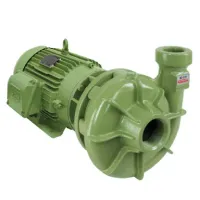 Bomba D'água Centrífuga Monoestágio BC-21 R 1 1/2 5 Cv Trifásica 220/380/440/760 V Schneider