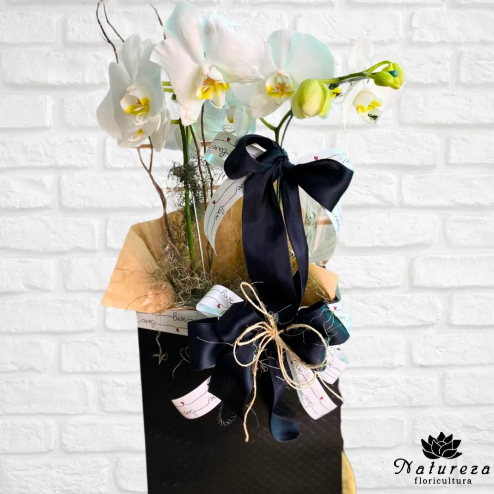  Orquídea Phalaenopsis Branca   na Sacola 