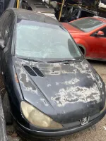 SUCATA RETIRADA DE PEÇAS PEUGEOT  206 2001 2002 1.0 16v - Foto 2