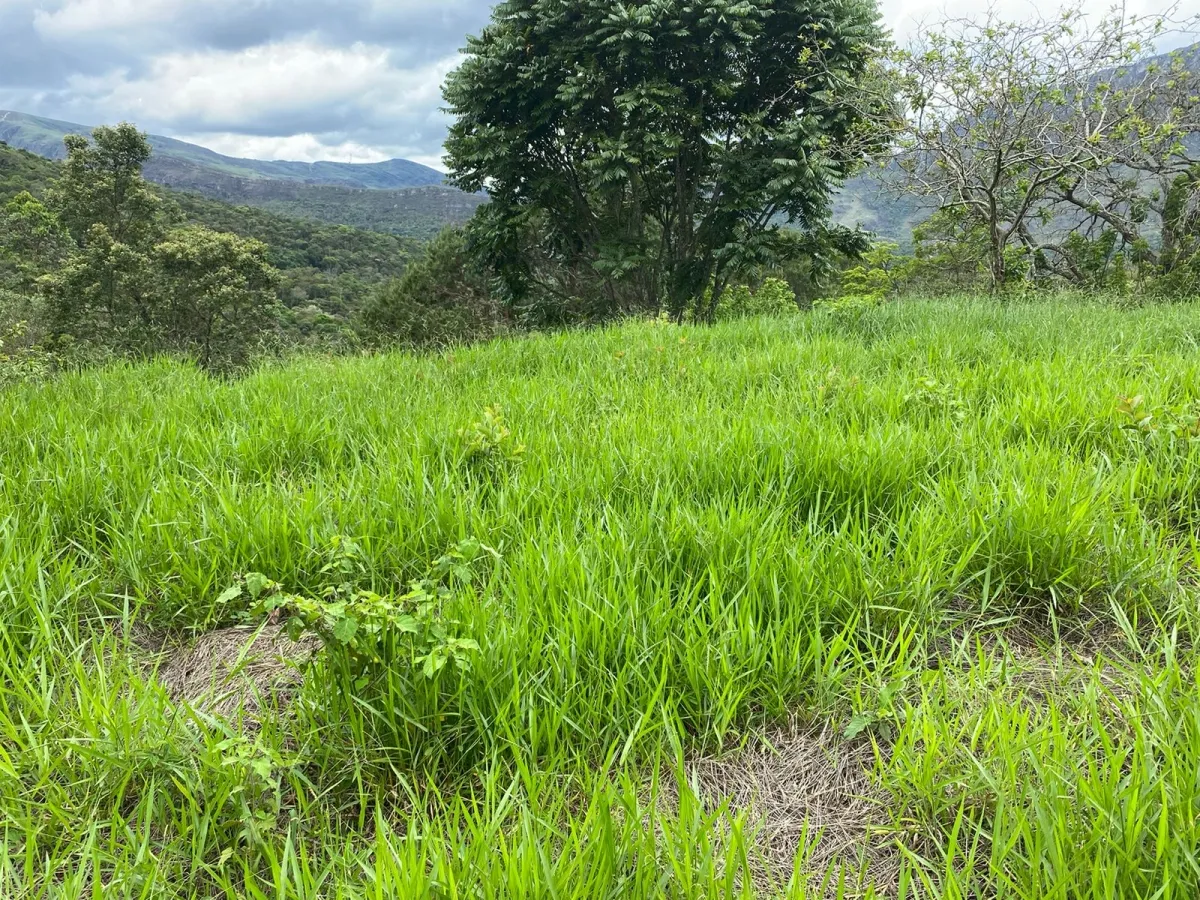 Vende-se  lote, em Itatiaia,Ouro Branco