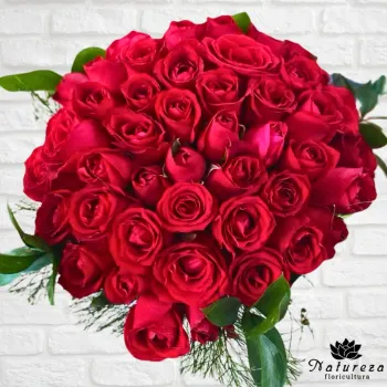 Buquê 50 rosas vermelhas 