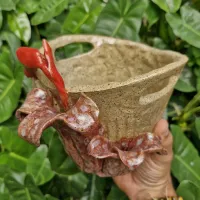 Cachepô Beija Flor Tesoura e Bromelia (16x16cm) - Foto 4