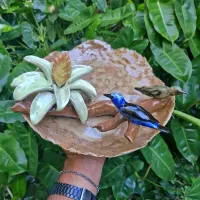 Centro de mesa Bromélia e Casal de Saí Azul (24 diam x 11alt)