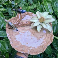 Centro de mesa Bromélia e Casal de Saí Azul (24 diam x 11alt) - Foto 2