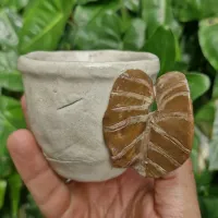 Xícara philodendron gloriosum (xic 7cm diâmetro- pires 9cm diâmetro) - Foto 2