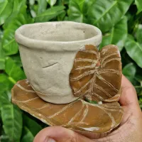 Xícara philodendron gloriosum (xic 7cm diâmetro- pires 9cm diâmetro) - Foto 4