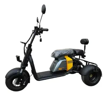 Triciclo Elétrico Shooper 1000w ( 48v Lítio )