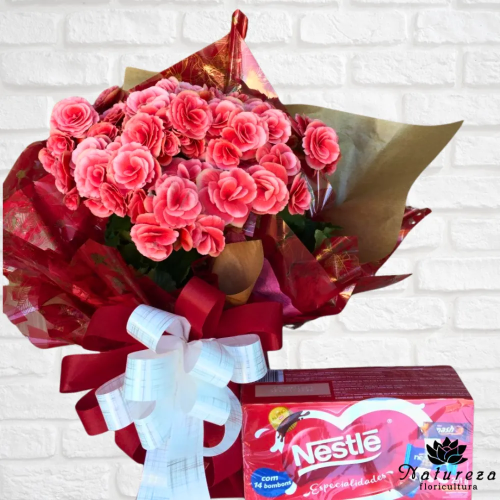 Begônia  com chocolate  Imagem