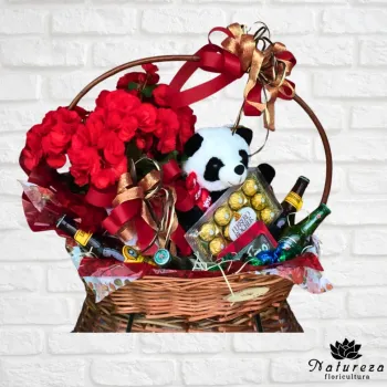 Cesta com Begônia , Urso , Cervejas e Chocolates 