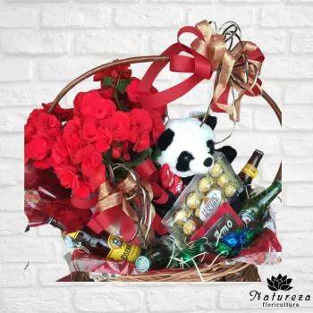 Cesta com Begônia , Urso , Cervejas e Chocolates  - Foto 2