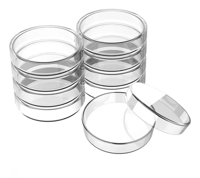 Placa de Petri de Vidro Imagem