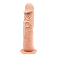 PÊNIS REALÍSTICO COM VENTOSA 20,0 X 4,2 CM - BAILE.                                                                                    LIBYSEXSHOP - Foto 4