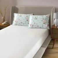  Jogo de Cama Queen Döhler Âmbar TIFANY 150 fios