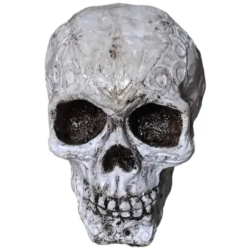 Caveira em gesso
