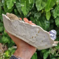 Centro de mesa Orquídea Sophronitis coccinea e Borboleta do 88 (23diam x 10alt) - Foto 6