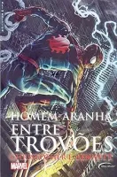 HOMEM - ARANHA ENTRE TROVOES (PRODUTO USADO - MUITO BOM)