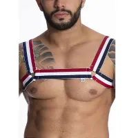 ARREIO HARNESS ELÁSTICO TRICOLOR TRIÂNGULO - TAMANHO ÚNICO.                                                      LIBYSEXSHOP - Foto 3
