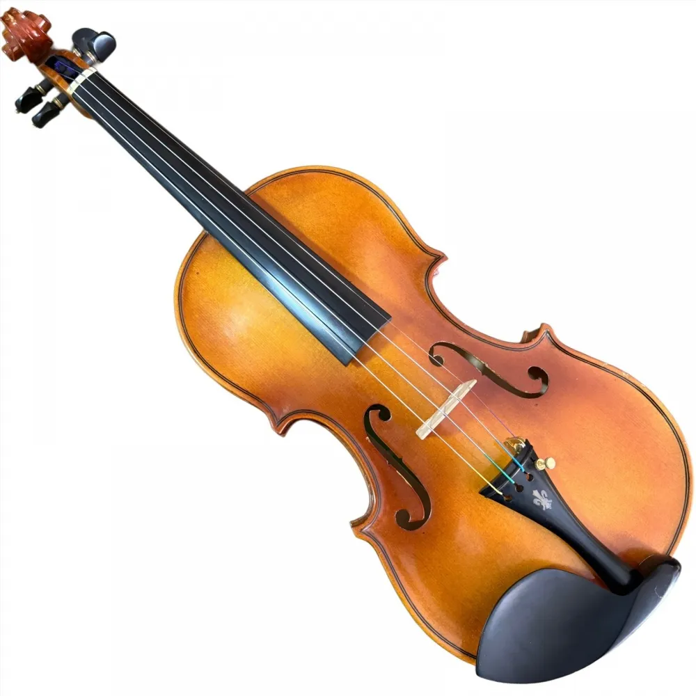 VIOLINO ANTÔNIO GOMES DA SILVA 2019