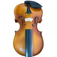 VIOLINO ANTÔNIO GOMES DA SILVA 2019 - Foto 4