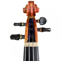 VIOLINO ANTÔNIO GOMES DA SILVA 2019 - Foto 5