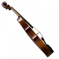 VIOLINO ANTÔNIO GOMES DA SILVA 2019 - Foto 6