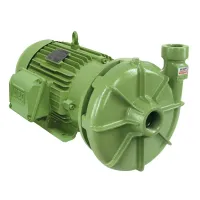 Bomba D'água Centrífuga Monoestagio Schneider Bc-22 R 1 1/2 15CV Monofásica 