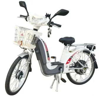 BICICLETA ELÉTRICA 500W ECOBIKE BAT LITHIUM 2025 