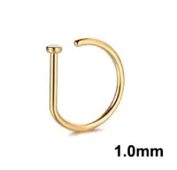 Argola Nariz em Titânio 1.0mm D RING PVD Dourada TIT24