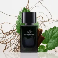 Perfume Mr. Burberry Eau de Parfum – Masculino - 50ml - Foto 4