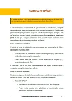 069 - Ciências - A Atmosfera e a Vida na Terra - Formação e Importância da Camada de Ozônio - 7º ano - PDF com 9 páginas - Foto 2