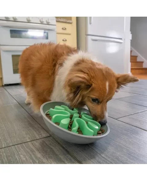 Outward Hound SloBowl Wobble Imagem